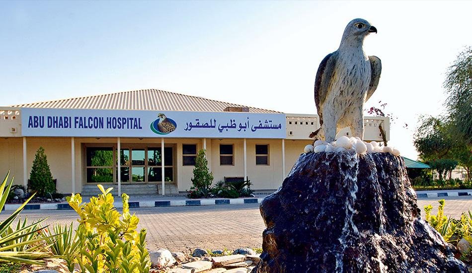 Falcon Hospital Tour in Abu Dhabi