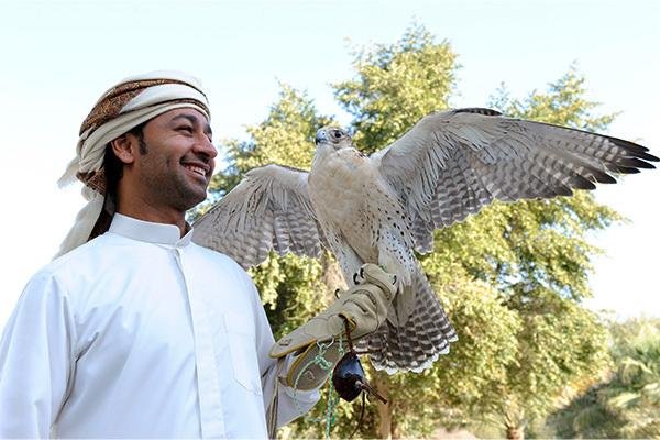 Falcon Hospital Tour in Abu Dhabi