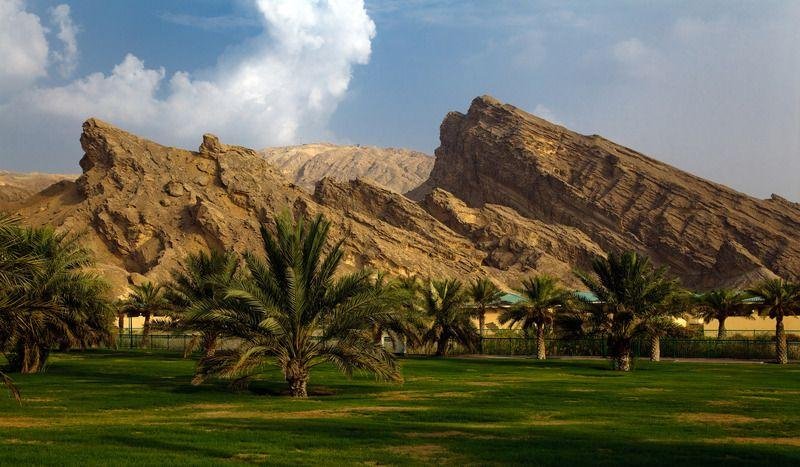 Private Al Ain Full-Day Cultural Tour with Lunch