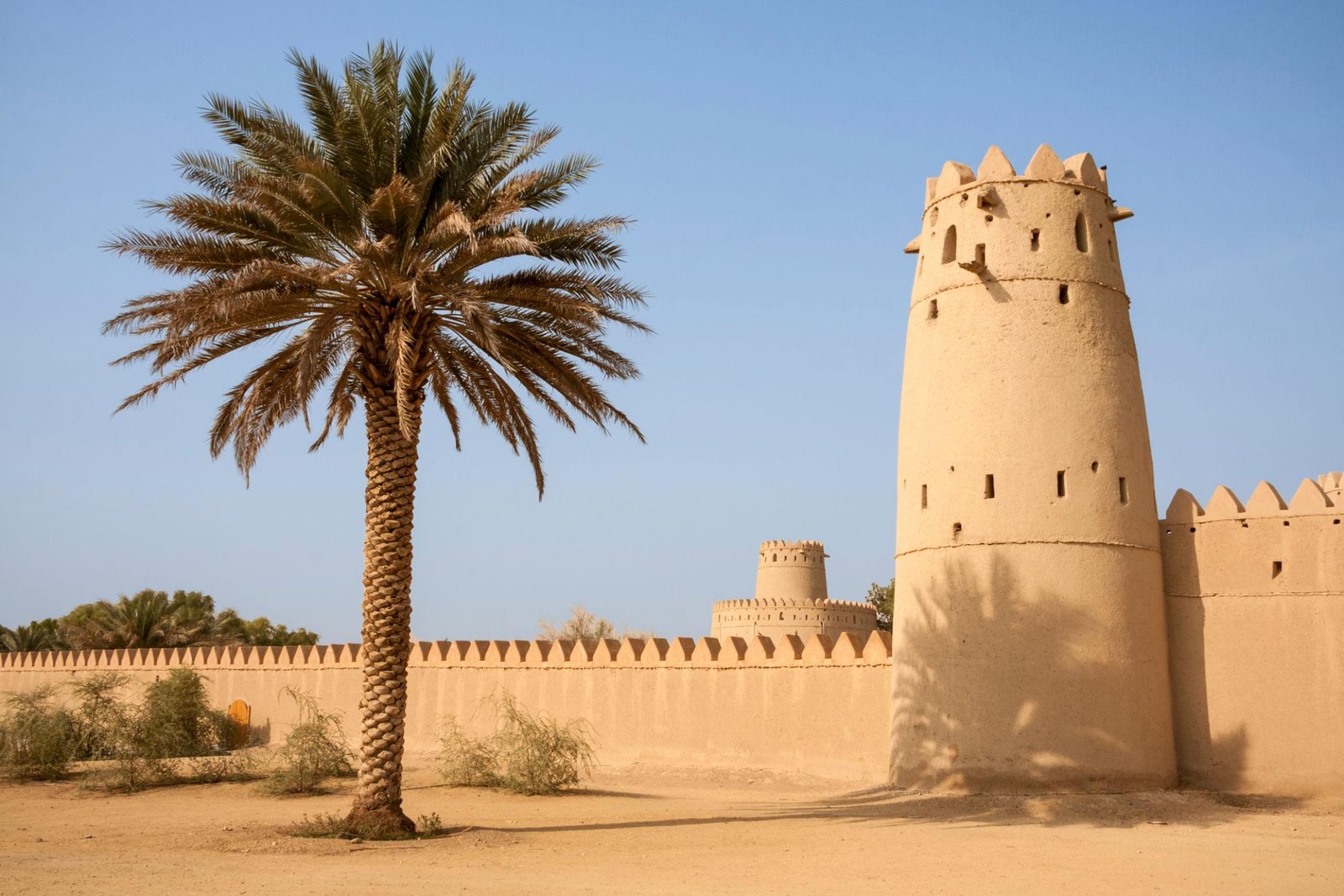 Private Al Ain Full-Day Cultural Tour with Lunch