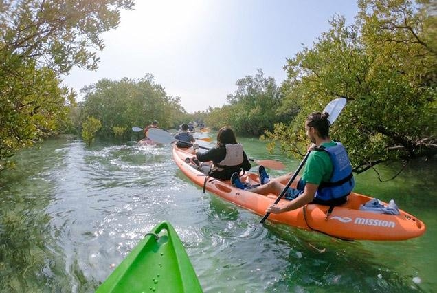 Guided Mangroove Kayaking Adventure at Al Reem Island