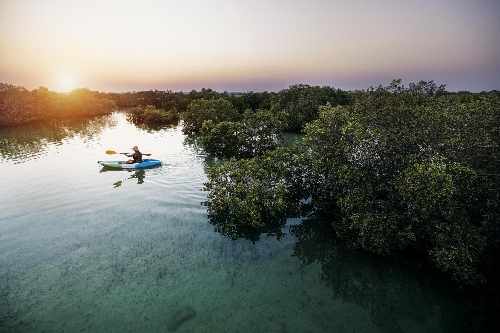 Guided Mangroove Kayaking Adventure at Al Reem Island