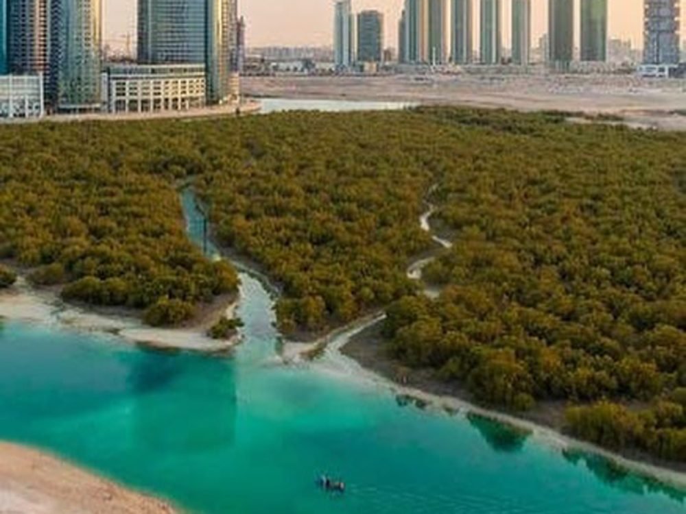 Guided Mangroove Kayaking Adventure at Al Reem Island